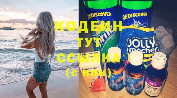 сатива Волоколамск