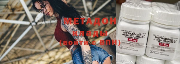 сатива Волоколамск