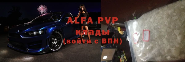 сатива Волоколамск