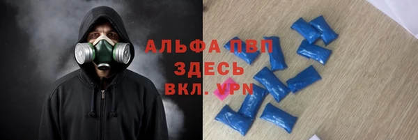 ECSTASY Вяземский