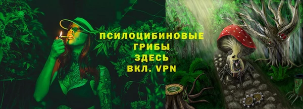 сатива Волоколамск